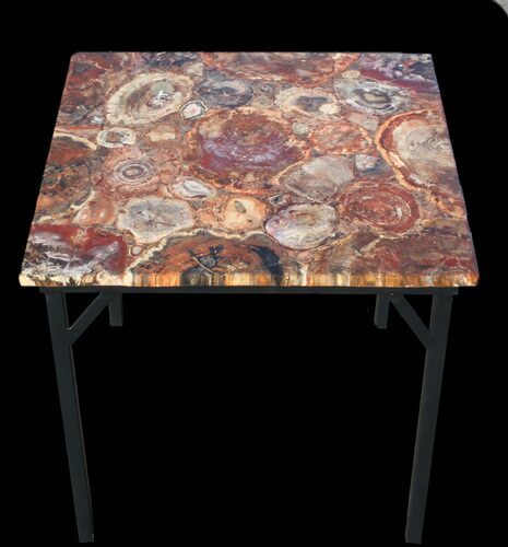x Petrified Wood Table With Powder Coated Base #52943